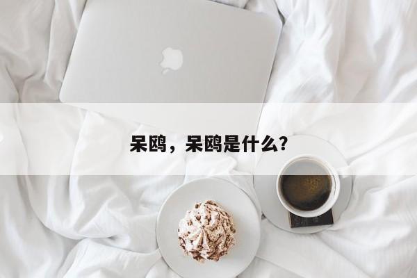 呆鸥，呆鸥是什么？