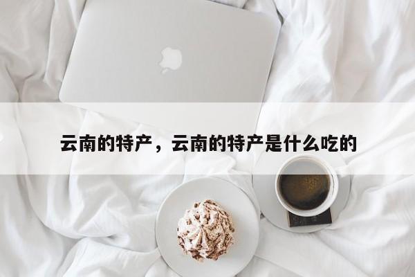 云南的特产，云南的特产是什么吃的